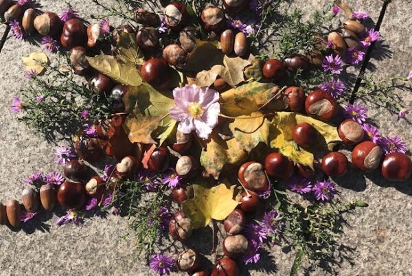 Náhledová fotka k článku: Land art – výtvarná výchova bez štětců, papírů, nůžek a lepidel