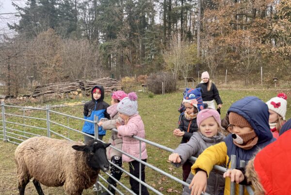 Náhledová fotka k článku: Družina se vydala do Soběšic